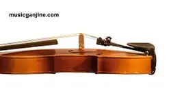 ویولن تی اف مدل 142 TF 142 size 3/4