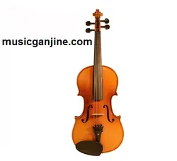 ویولن تی اف مدل 142 TF 142 size 4/4
