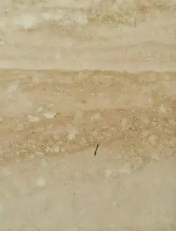 کفپوش وینیفلکس هرمس ۴۵۳۰۹