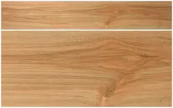 کفپوش پلیژن