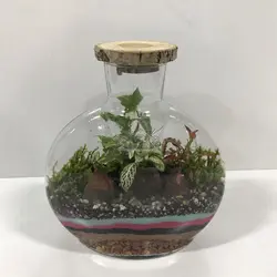 تراریوم مدل آنتالیا کوچک