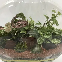 تراریوم مدل آنتالیا متوسط