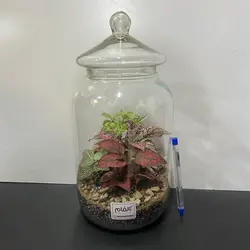 تراریوم مدل پرنس