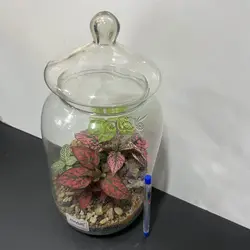 تراریوم مدل پرنس