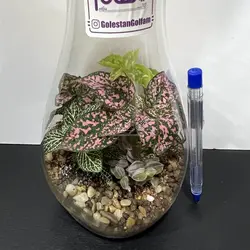 تراریوم مدل دوغ خوری