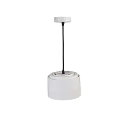 چراغ اویز رشد گیاه 30 وات مدل lp-30