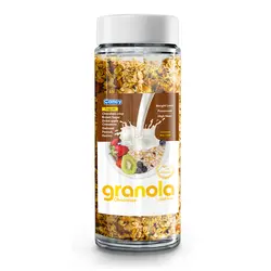 گرانولا شکلاتی کنسی