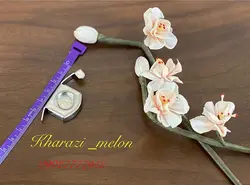 مگنت آهنربایی صاف دوزی