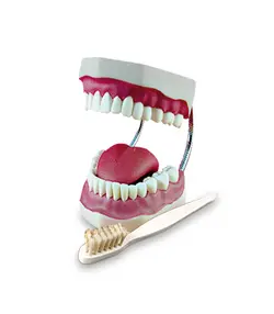 مولاژ دندان (آموزش)