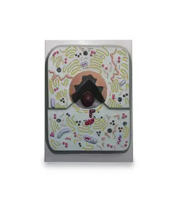 مولاژ سلول جانوری