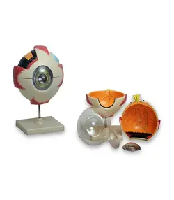 مولاژ کره چشم