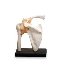 مولاژ مفصل کتف