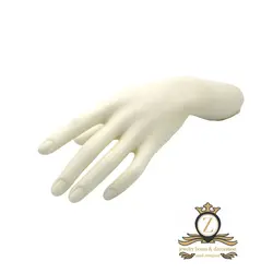 دکوراسیون - اکسسوری ویترین مدل دست