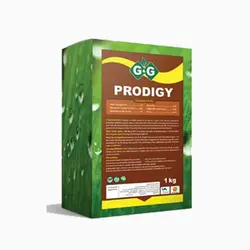 کود جامد آلی پرودیجی جی اند جی- 10 بسته یک کیلویی