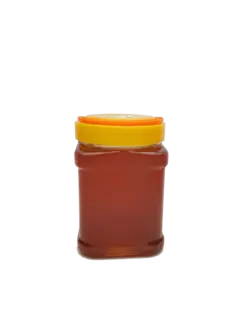 خرید عسل وحشی (کوهی) یک 1 کیلوگرم | عسل ناب رویال خوانسار