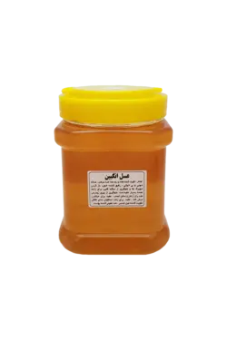 خرید عسل گون گزانگبین یک1 کیلوگرم | عسل ناب رویال خوانسار