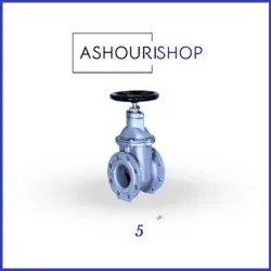 شیر کشویی زبانه فلزی رینگ استیل چدنی سایز 5 اینچ میراب