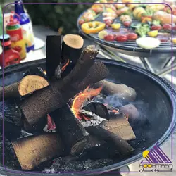 خرید باربیکیو پارمیس مدل BBQ 412 | سه کاره | تنظیم ارتفاع