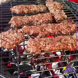 خرید باربیکیو پارمیس مدل BBQ 412 | سه کاره | تنظیم ارتفاع