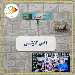 آنتن کارتی بسته ۲۵ عددی