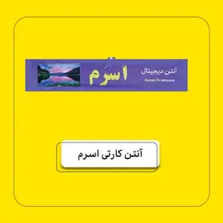 آنتن کارتی بسته ۲۵ عددی