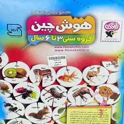 پازل هوش چین سه تکه