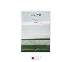 کتاب چرا عکاسی هنری؟ در باب عکاسی معاصر