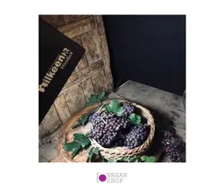 هارد باکس ایلکین iLkeen MicoBox