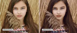 مجموعه کالر لوک آپ Capitals Mood 3D LUTs برای فتوشاپ،پریمیر و افتر افکت