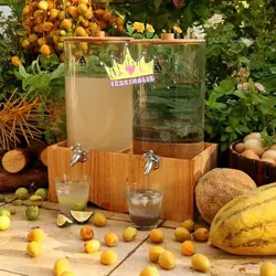 کلمن شیشه ای دوقلو استوانه ای با پایه چوبی طرح موناکو