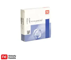 رينگ موتور زانتيا 2000- 0.25تعمير اول NEآلمان