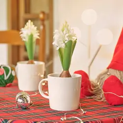 سنبل سفید ایکیا مدل Vinterfint