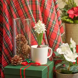 سنبل سفید ایکیا مدل Vinterfint