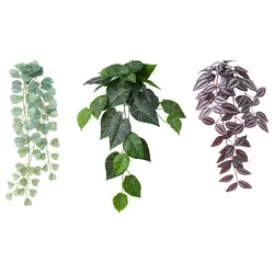 گیاه آویزی با نگهدارنده دیواری ایکیا مدل FEJKA