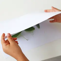 مداد شمعی مثلثی 30 قطعه پریمو - رنگ چین