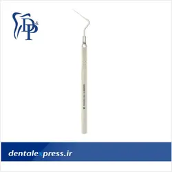 هند اسپیریدر دنا پویا- Dena Pouya