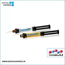 کوربیلد آپ بیسکو Bisco - Core-Flo DC Lite
