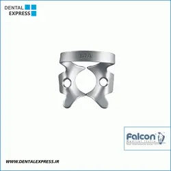 کلمپ مولر نیمه روییده و بزرگ- Falcon