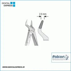 فورسپس اطفال بدون فنر Falcon-ریشه کش بالا