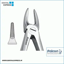 فورسپس ساده Falcon-ریشه کش بالا نازک