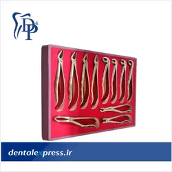 ست فورسپس بزرگسال 11 عددی آناتومیک دنا پویا - Dena Pouya