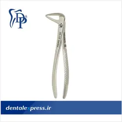 فورسپس ریشه کش پایین بلند دنا پویا - Dena Pouya