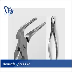 فورسپس بزرگسال ریشه کش بالا  Dena Pouya - wetzel