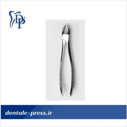 فورسپس بزرگسال مولربالا چپ و راست - Dena Puya