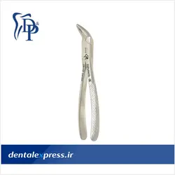 فورسپس بزرگسال ریشه کش پایین دنا پویا Dena Pouya - Wetzel