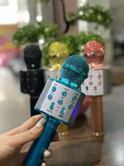 میکروفون به همراه اسپیکر WS-858