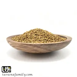عدس بو داده