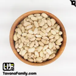 سویا نمکی ترش ساده - آجیل و خشکبار توانا