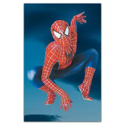 روفرشی کشدار spider man