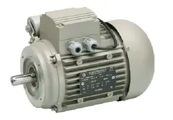 الکتروموتور الکتروژن تکفاز 2.2 کیلووات - گروه صنعتی پویان , خرید الکتروموتور , گیربکس صنعتی , پمپ آب , موتوژن , الکتروژن , فلنچ